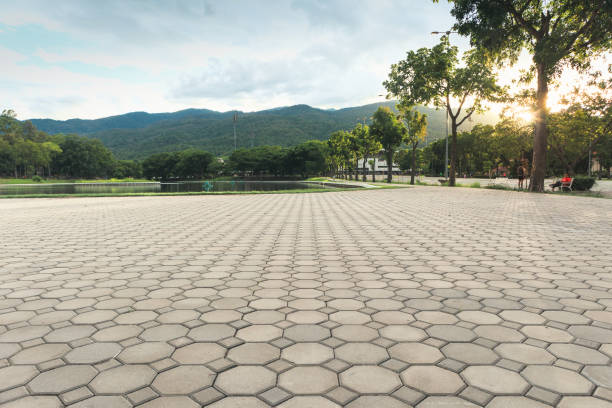 Best Residential Paver Driveway  in Chatham, IL