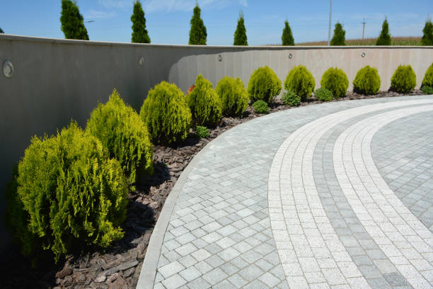 Best Custom Driveway Pavers  in Chatham, IL